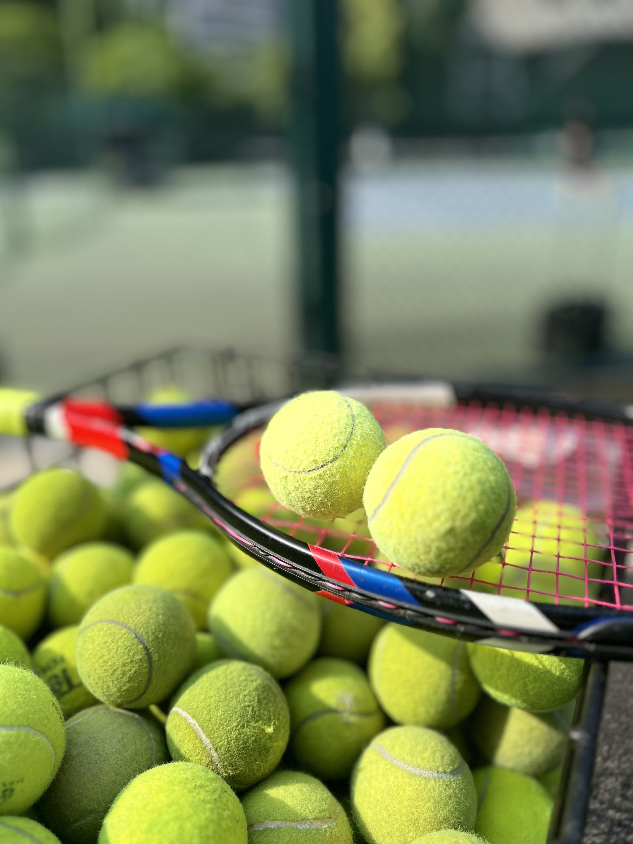 可能决定最 可能决定最